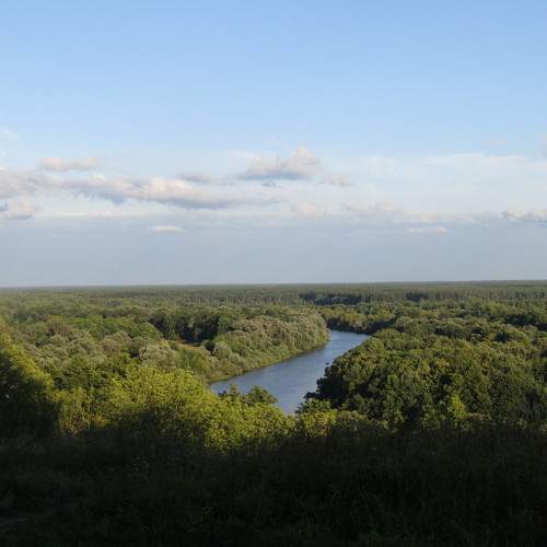 Photo #6032873