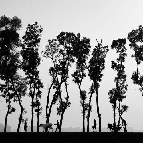 Rural Life