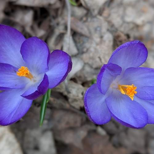 Photo #6033475