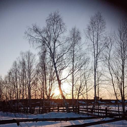 Photo #6033495