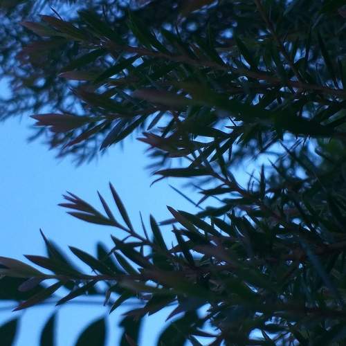 Photo #6034212