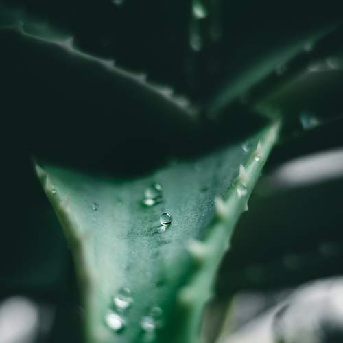 A little waterdrop that disparted from ocean