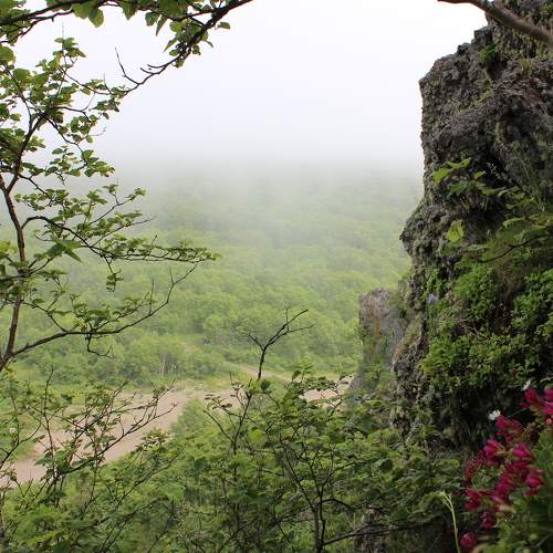 Photo #6034277