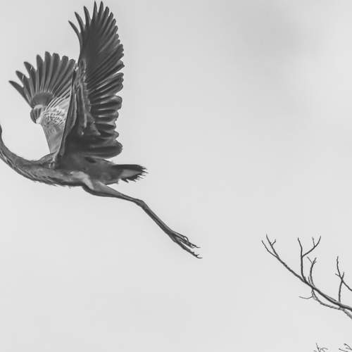 Start to fly
