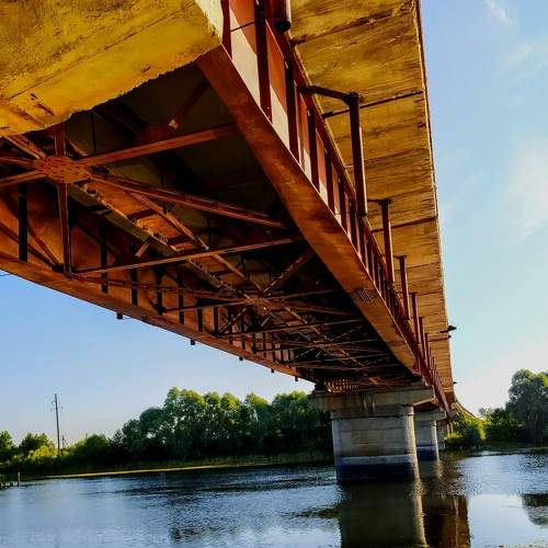 Photo #6034505