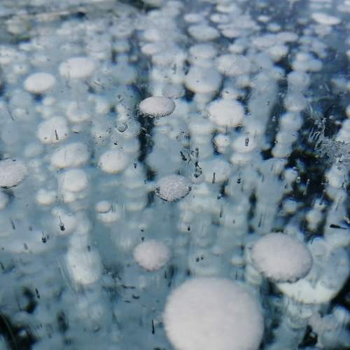 Photo #6034556
