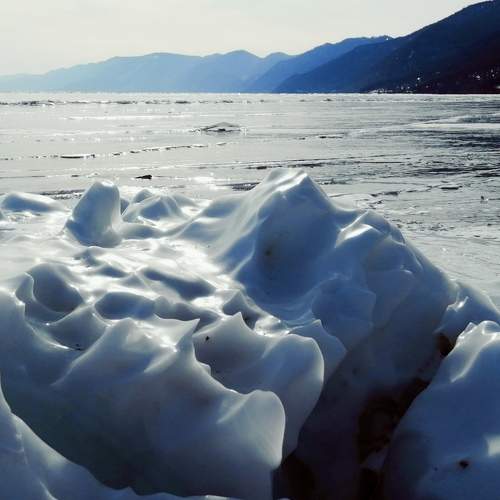 Photo #6034561