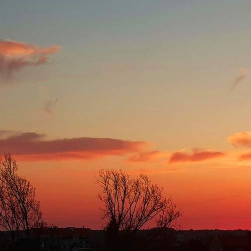 sunset