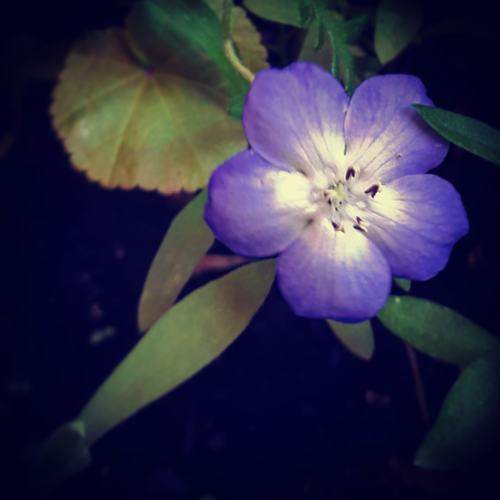 Photo #6034727