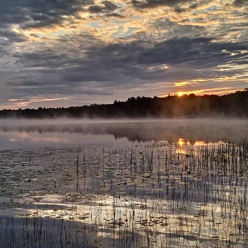 Photo #6035013