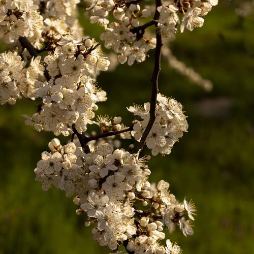 Photo #6035198