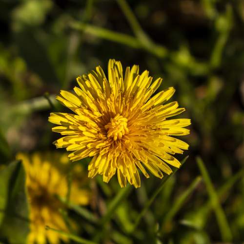 Photo #6035204