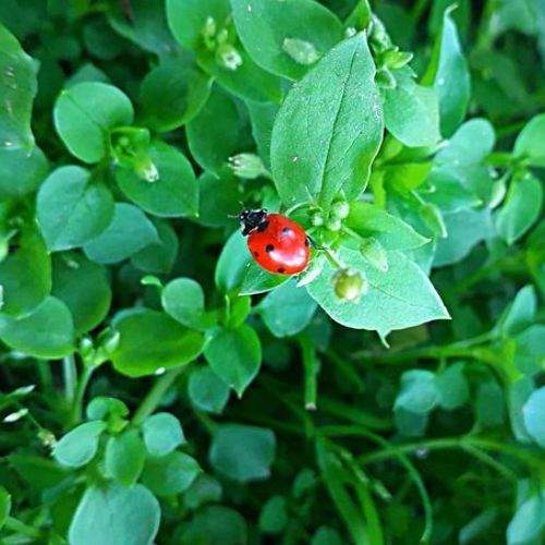 Photo #6035514
