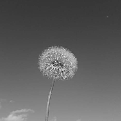 Photo #6035519