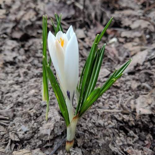 Photo #6035963