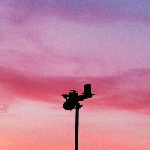 Photo #6036182