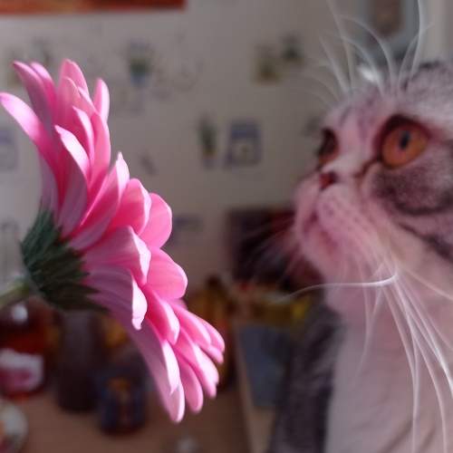 Photo #6036276