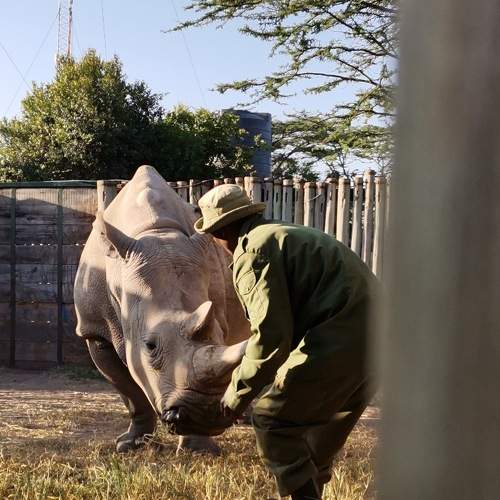 Photo #6036403