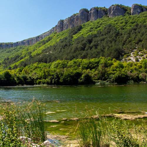 Photo #6036671