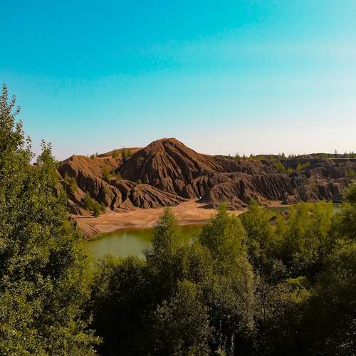Photo #6036719