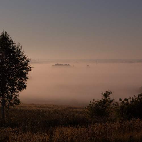 Photo #6036813