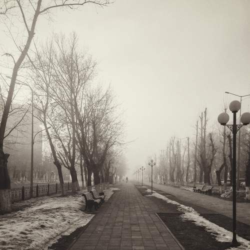 Photo #6037147