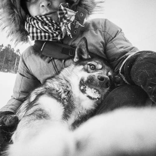 Photo #6037415