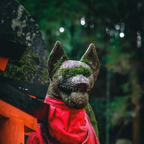 Photo #6037794