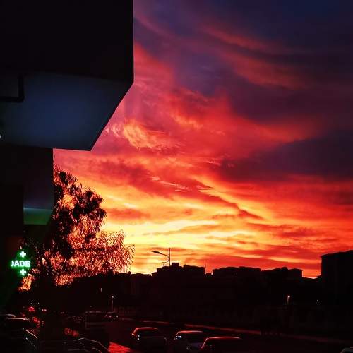 Photo #6037810