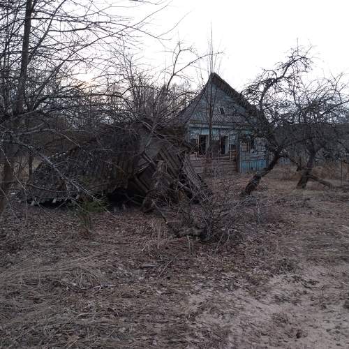 Photo #6037915