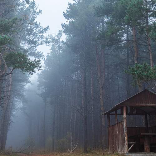 Photo #6037979