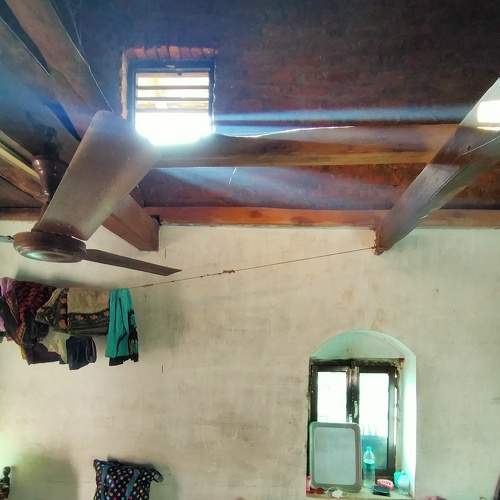 Photo #6037989