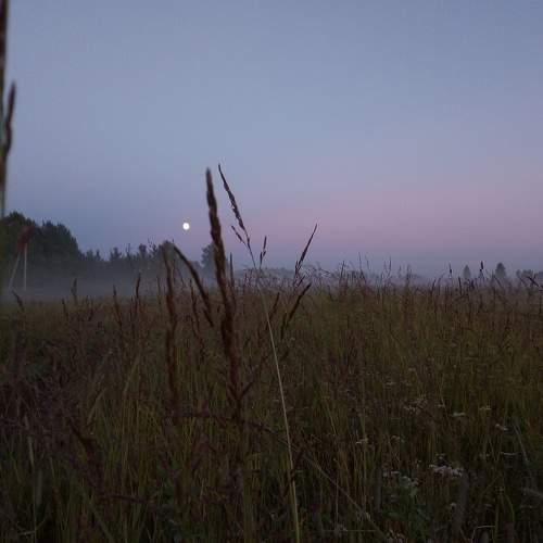 Photo #6038404