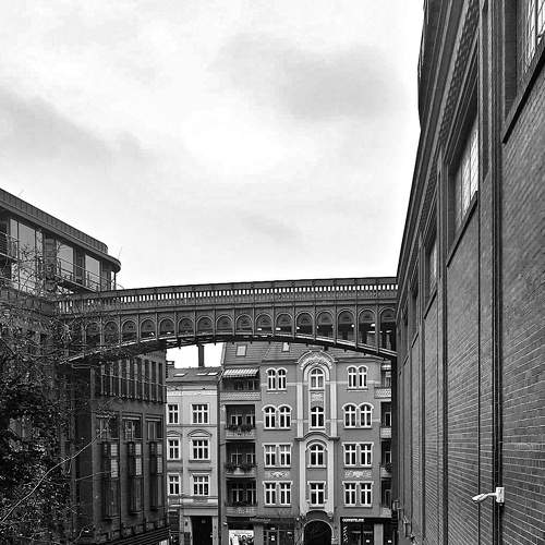 Photo #6038459