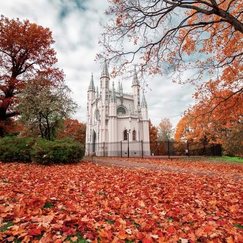 Photo #6038664