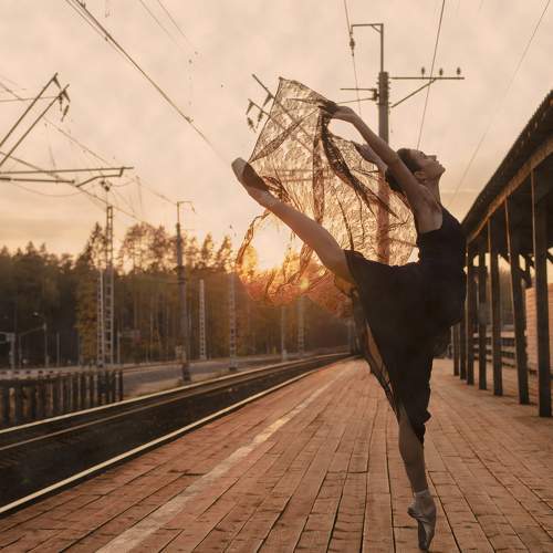Photo #6039599