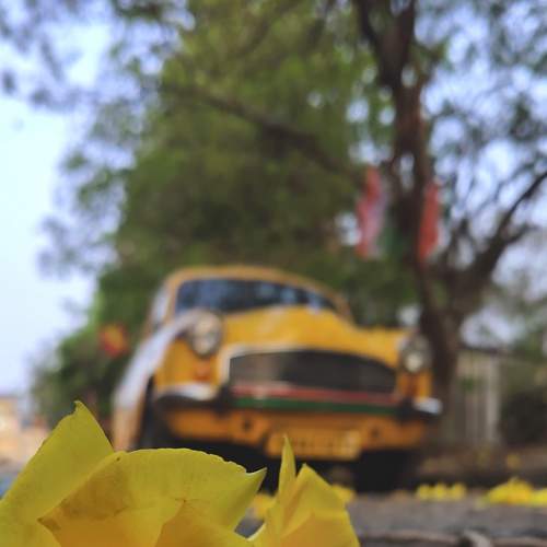 Photo #6039685