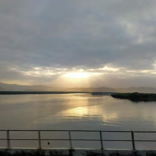 Rays in water