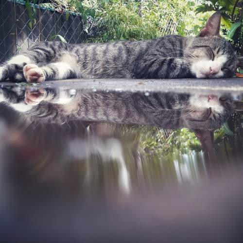 Photo #6040850