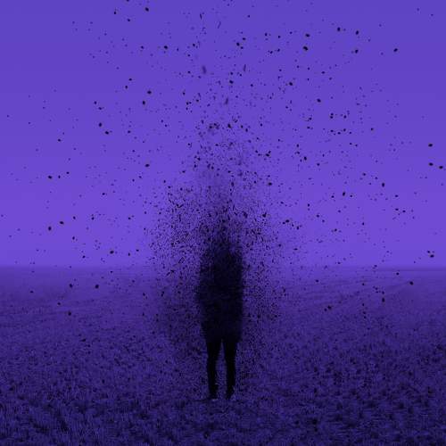 Photo #6041020