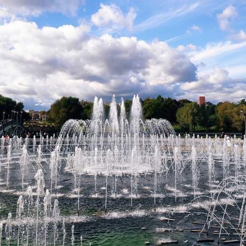 Photo #6041335