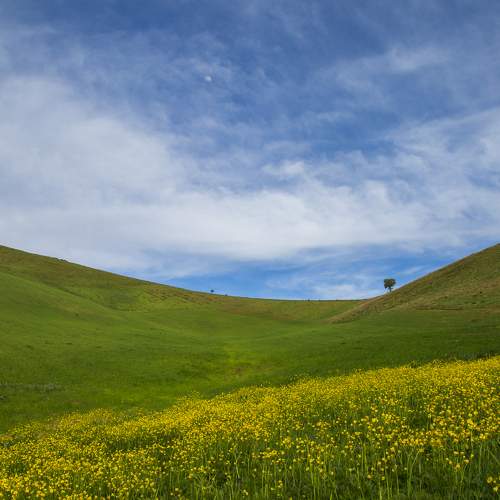 kurdistan