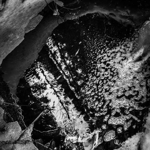Photo #6041966