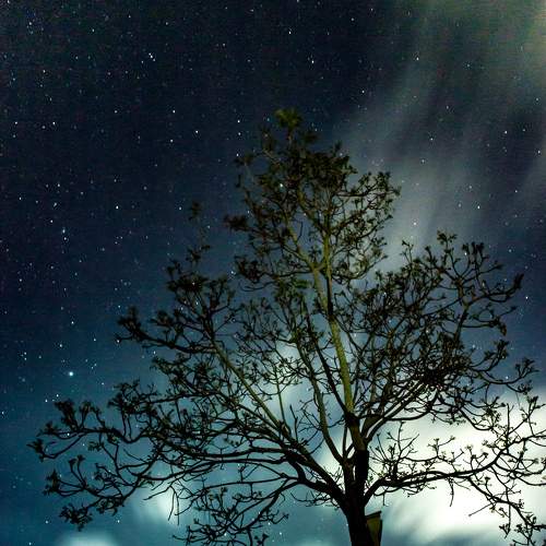 Photo #6042981