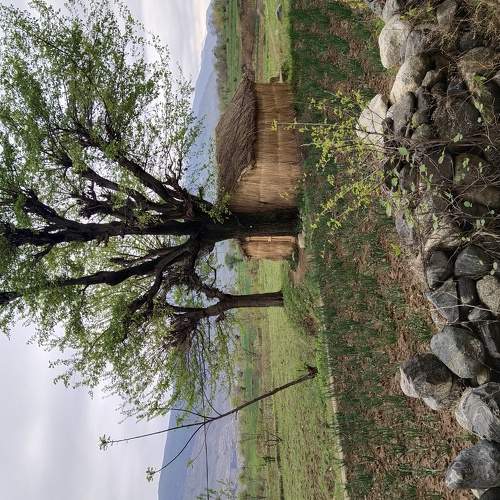 Photo #6043756