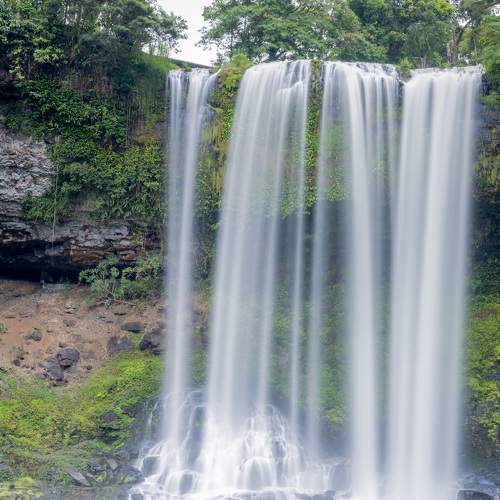 Photo #6043939