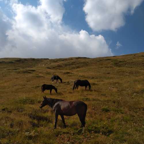 Photo #6044041
