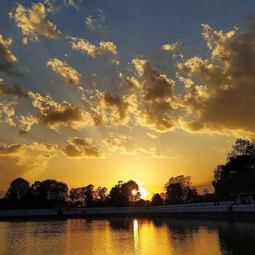 Photo #6044139