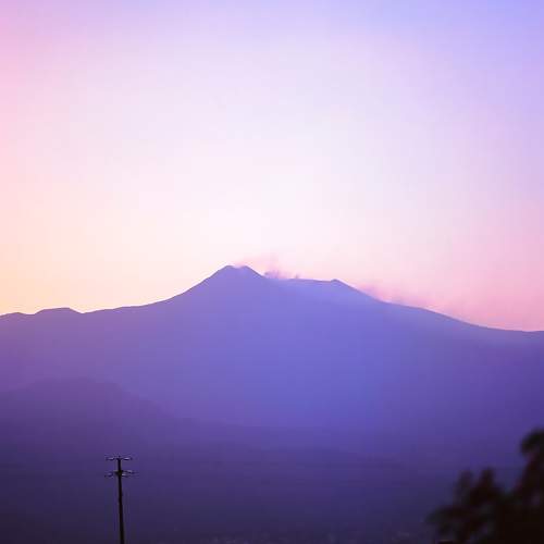 Photo #6044358