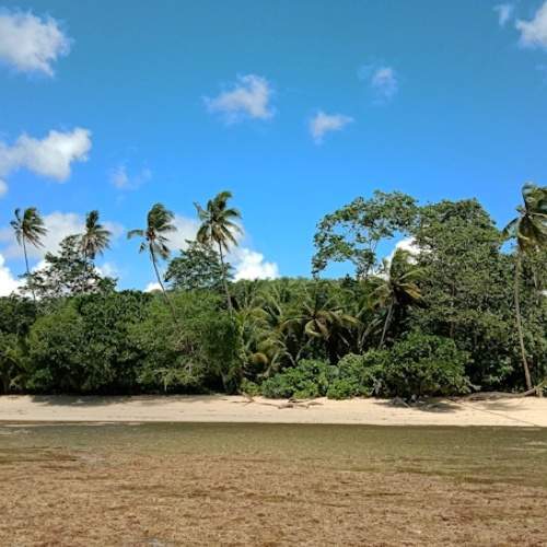 Photo #6044509